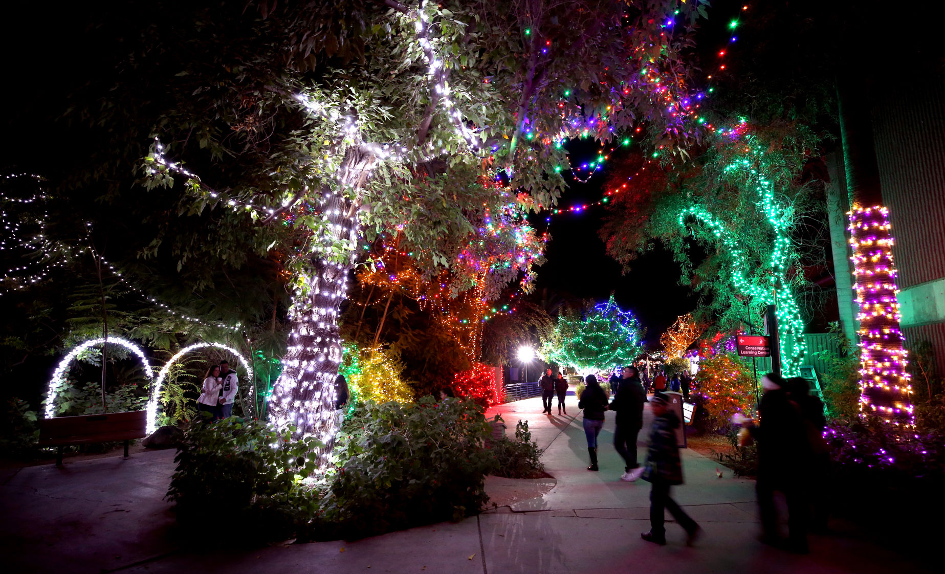 Zoo Lights
